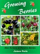 Growing Berries - How To Grow and... - Bild 1