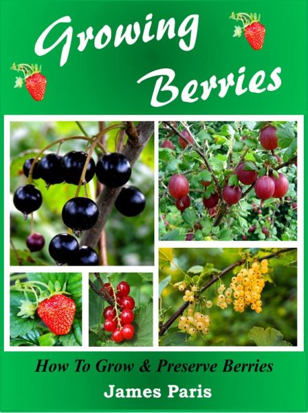 Growing Berries - How To Grow and Preserve Berries (eBook, ePUB)