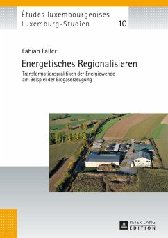 Energetisches Regionalisieren - Faller, Fabian