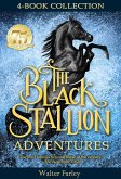 The Black Stallion Adventures (eBook, ePUB)