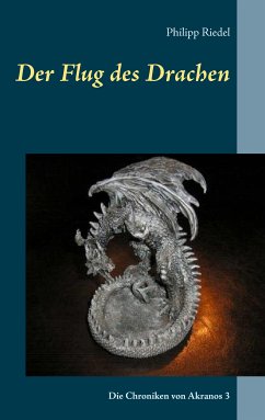 Der Flug des Drachen (eBook, ePUB) - Riedel, Philipp