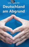 Deutschland am Abgrund (eBook, ePUB)