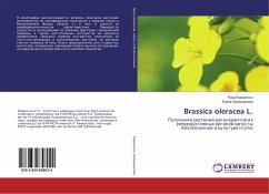 Brassica oleracea L. - Kirakosyan, Rima;Kalashnikova, Elena