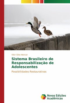 Sistema Brasileiro de Responsabilização de Adolescentes