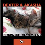 Die Kunst des Schlafens (eBook, ePUB)