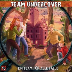 Ein Team für alle Fälle (MP3-Download) - Ahrens, Dominik