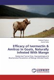 Efficacy of Ivermectin & Amitraz In Goats, Naturally Infested With Mange