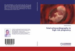 Fetal echocardiography in high risk pregnancy