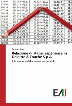 Relazione di stage: esperienza in Deloitte & Touche S.p.A. - Bolgé, Gustavo