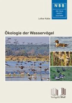 Ökologie der Wasservögel - Kalbe, Lothar