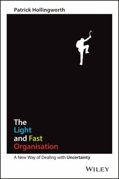 The Light and Fast Organisation (eBook, ePUB) - Hollingworth, Patrick