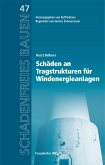 Schäden an Tragstrukturen für Windenergieanlagen. (eBook, PDF)