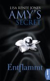 Entflammt / Amy's Secret Bd.2 (eBook, ePUB)