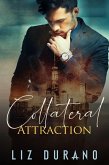 Collateral Attraction: An Enemies to Lovers Romantic Suspense Novel (Fire and Ice, #1) (eBook, ePUB) Collateral Attraction: An Enemies to Lovers Romantic Suspense Novel (Fire and Ice, #1) (eBook, ePUB)