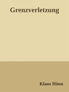 Grenzverletzung (eBook, ePUB) - Hönn, Klaus