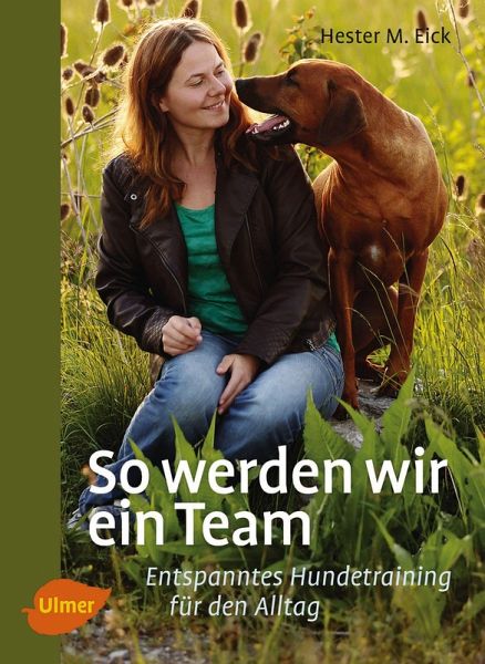 So werden wir ein Team (eBook, ePUB)