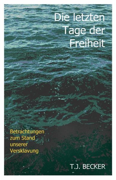 Die letzten Tage der Freiheit (eBook, ePUB)