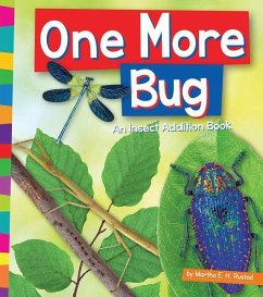 One More Bug: An Insect Addition Book - Rustad, Martha E. H.