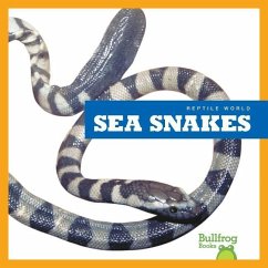 Sea Snakes - Black, Vanessa