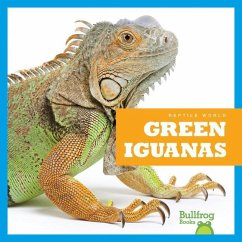 Green Iguanas - Black, Vanessa