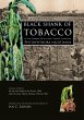 Black shank of tobacco in the former... - Bild 1