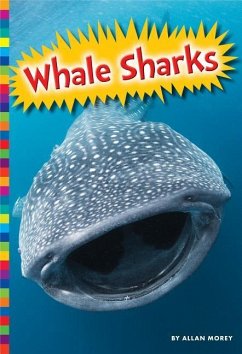 Whale Sharks - Morey, Allan