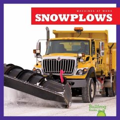 Snowplows - Meister, Cari