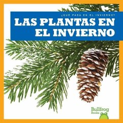 Las Plantas En El Invierno - VanVoorst, Jennifer Fretland