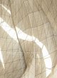Embodied Light - Bild 1