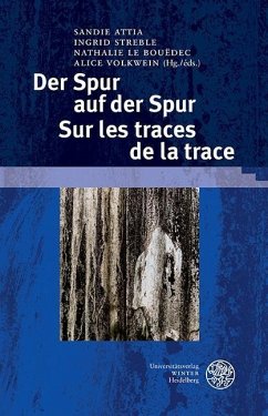Der Spur auf der Spur. Sur les traces de la trace (eBook, PDF)