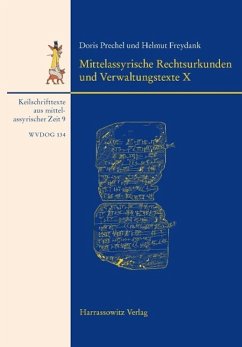 Mittelassyrische Rechtsurkunden und Verwaltungstexte X (eBook, PDF) - Prechel, Doris; Freydank, Helmut