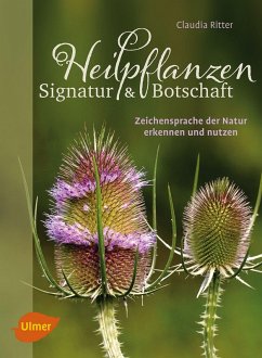 Heilpflanzen. Signatur und Botschaft (eBook, PDF) - Ritter, Claudia