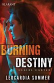 Burning Destiny. Thriller (eBook, ePUB)