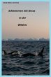 Schwimmen mit Orcas in der Wildnis... - Bild 1