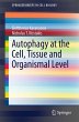 Autophagy at the Cell, Tissue and... - Bild 1