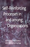 Self-Reinforcing Processes in and among Organizations