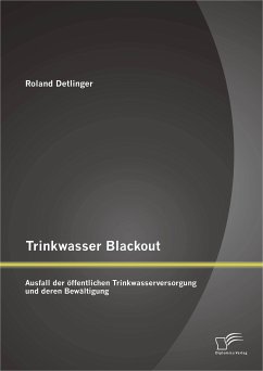 Trinkwasser Blackout: Ausfall der öffentlichen Trinkwasserversorgung und deren Bewältigung (eBook, PDF) - Detlinger, Roland