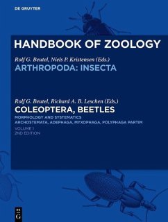 Cover Coleoptera, Beetles. Morphology and Systematics (eBook, PDF)