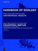 Coleoptera, Beetles. Morphology and Systematics (eBook, ePUB)