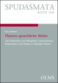 Platons sprachliche Bilder (eBook, PDF)