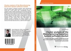 Cluster analysis of the Manufacturing Execution System software market