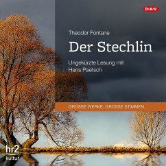 Cover Der Stechlin (MP3-Download)