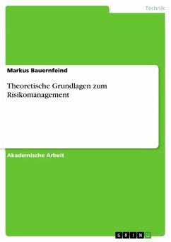 Theoretische Grundlagen zum Risikomanagement (eBook, ePUB)