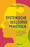 Systemische Seelsorge praktisch (eBook, ePUB)