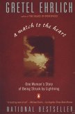 A Match to the Heart (eBook, ePUB)