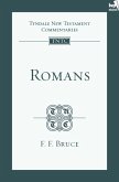 TNTC Romans (eBook, ePUB)