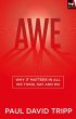 Awe (eBook, ePUB) - Bild 1