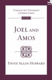 TOTC Joel & Amos (eBook, ePUB)