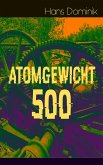 Atomgewicht 500 (eBook, ePUB)