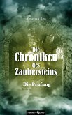 Die Chroniken des Zaubersteins (eBook, ePUB)